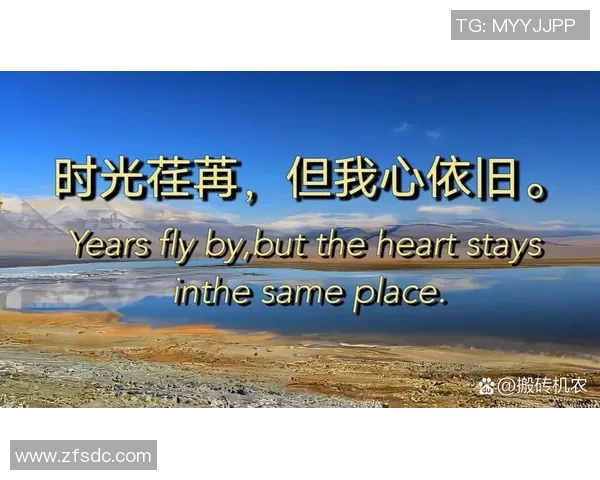 深圳乒乓球队的奋斗与辉煌：一段不平凡的突破之路纪实