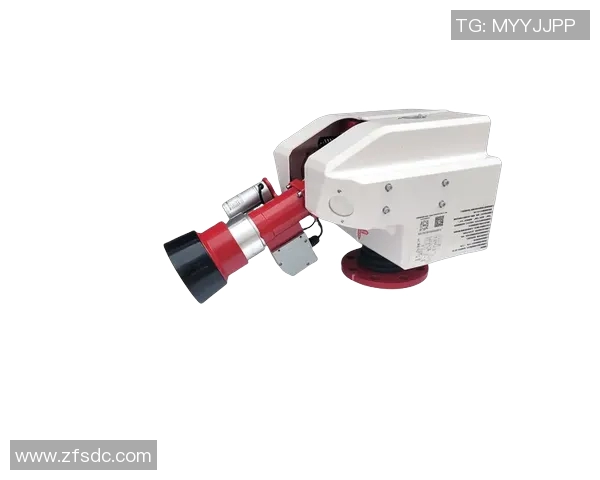 智能消防设备在城市安全管理中的应用与发展趋势分析