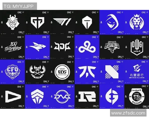 CSGO盛宴：深入解析EDG战队的极速战术与团队协作