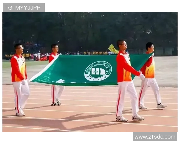 南京排球队杯赛之路的辉煌突破与奋斗历程全景回顾